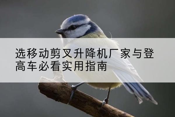 赣州电动升降机厂家-选移动剪叉升降机厂家与登高车必看实用指南