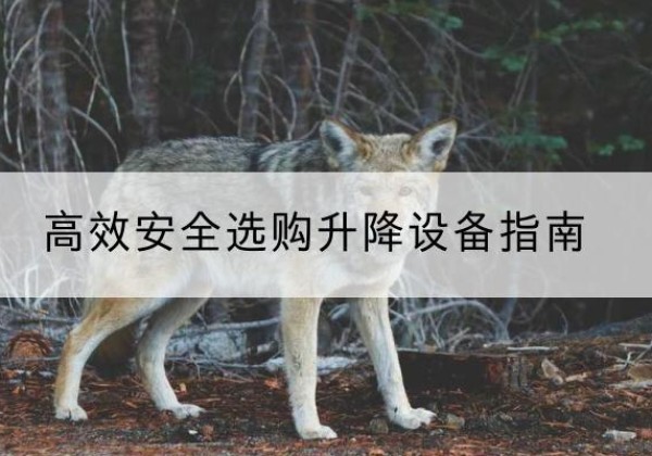 赣州升降货梯厂家推荐-*安全选购升降设备指南